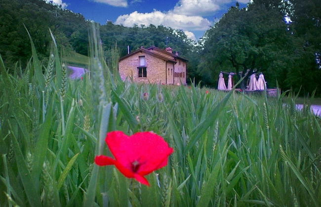 La Cartiera dei Benandanti - Foto 1