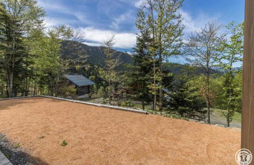 Le grand tetras - Foto 7