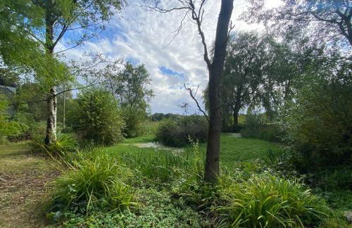 Dairy Farm - Foto 37