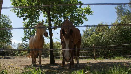 Le Domaine de Jaïba - Foto 4