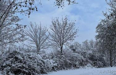 Sonnengelb - Fulgenhaus - Foto 21