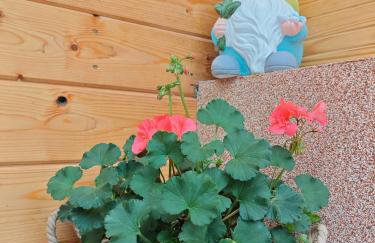 Apartamenty u Gumisia "Gumisiówka" mała agroturystyka Kłodzko Jaszkowa Górna - Foto 66