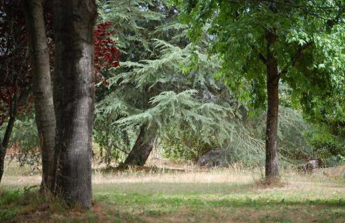 A Casa do Buxo - Foto 40