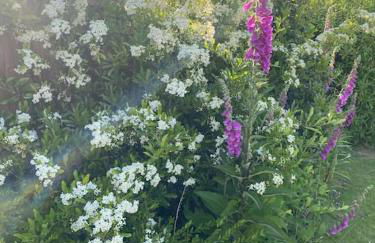 Cosy house rural setting - Foto 22