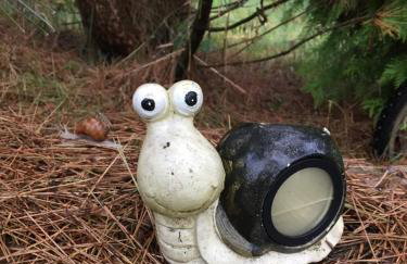 Dom w Sąpach - Foto 56