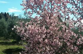 Pò delle Buche - Photo 22