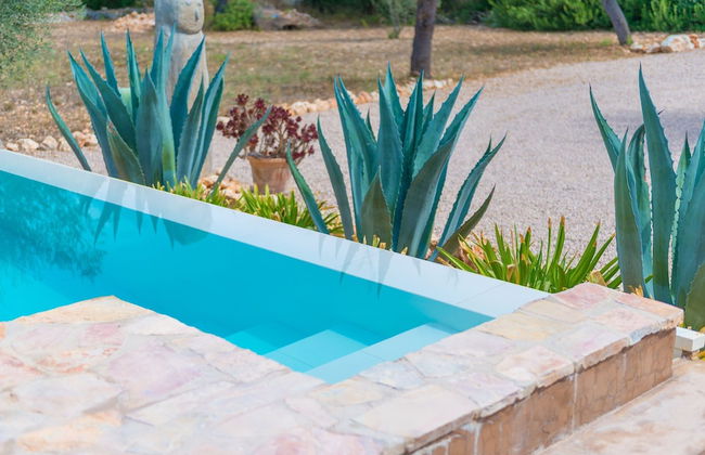 Can Pina - Eco Cascada - - Photo 31