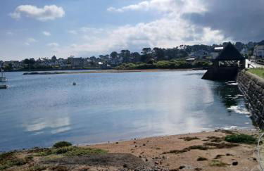 Escale à Ploumanac'h - Foto 11