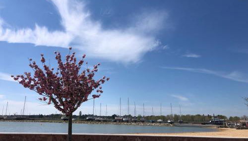 maison de pêcheur face à la plage du plan d'eau - Foto 2