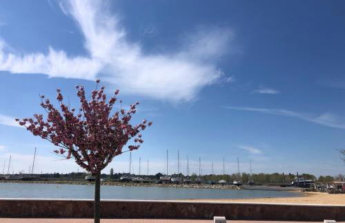 maison de pêcheur face à la plage du plan d'eau - Foto 2