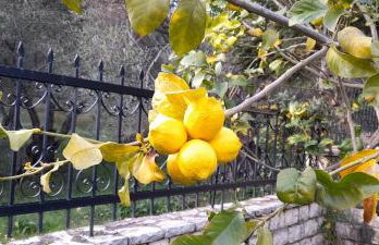 OUTParga Apartment 4 - Foto 30