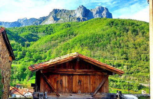 Apartamentos Nevandi - Photo 2
