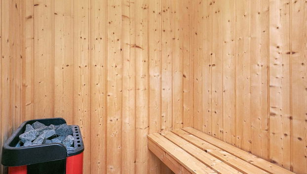 6 Person Holiday Home in Blavand - Foto 2, Sauna