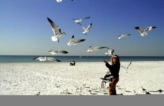 2 Bedroom Waterfront Pool Side - Photo 22