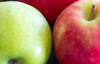 Maison Venitia - Foto 17