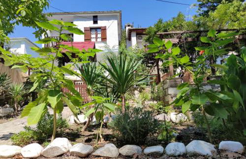 Flower house - Foto 15