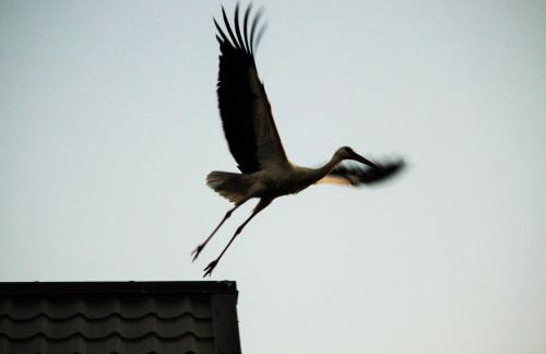 Pojezierze Drawskie Agroturystyka Greanna - Foto 57