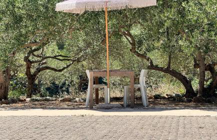 Dolce Terra - Photo 37