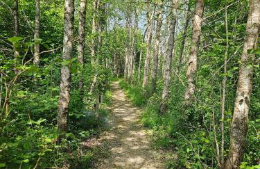 Silver Birch Nabb Lane Woods Hot tub near Alton Towers - Foto 35