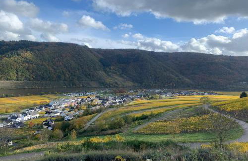 Moselglück - Foto 26