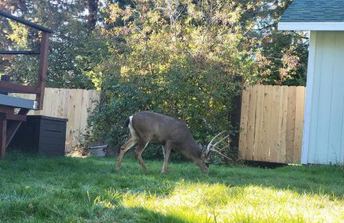 Historic HM, Mountain Views, Hot Tub, Steam Room - Foto 43