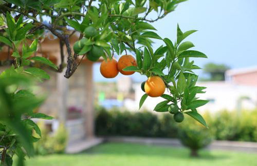 Villa Aurelia - Photo 2