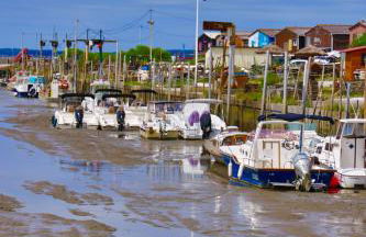 les coquilles - Foto 1