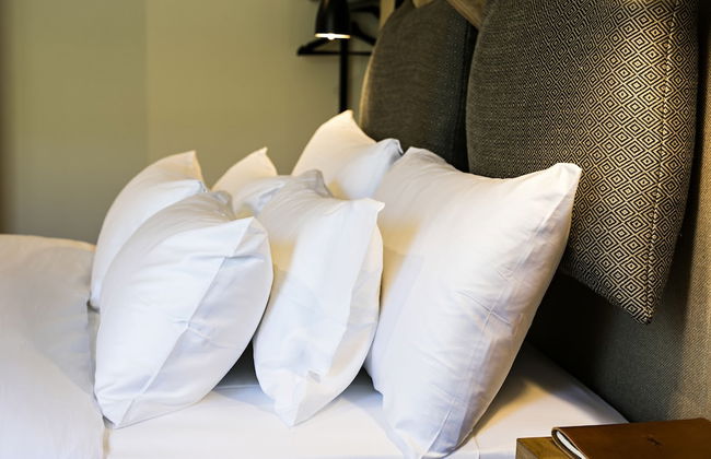 Quinta de S. Bernardo Winery & Farmhouse - Foto 14