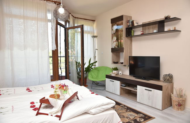 Apartments Plovdiv - Foto 48