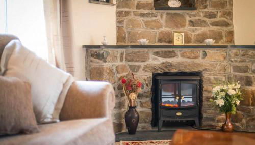 Derwin-Fawr - Foto 5