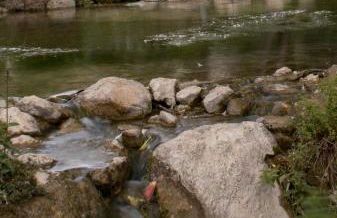 AT Restaurante El Palacil - Foto 61