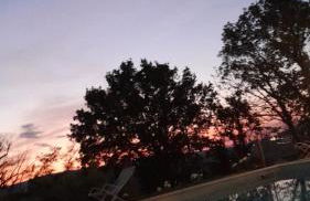 Agriturismo Pane e Olio - Photo 11