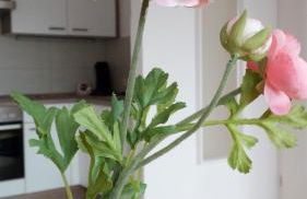 Ferienwohnung mit Loggia - Foto 19