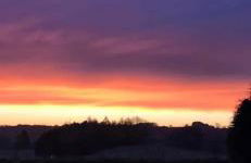 The Hive at Bee Happy Breaks Scotland - Photo 18