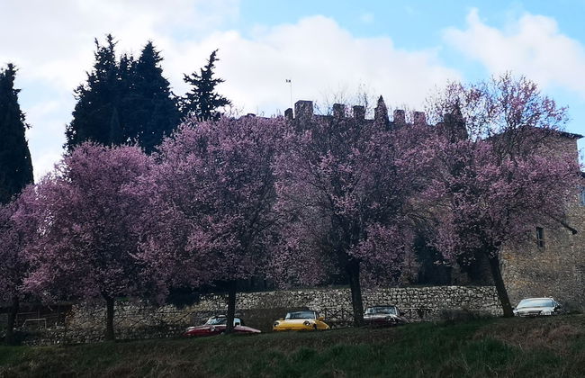 Castel Pietraio - Foto 45