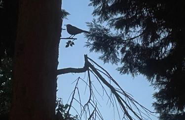 Tawny Lodge, Evesham Nr Cotswolds - Foto 58