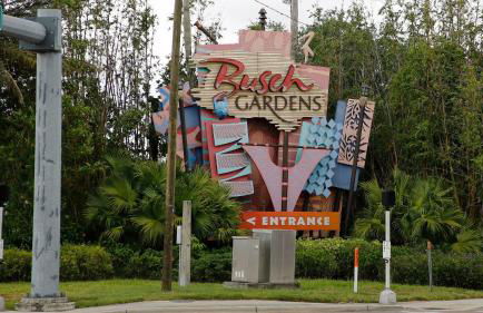 Pet Friendly Home in Ybor City! - Foto 30