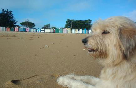 La maison du facteur - Foto 1