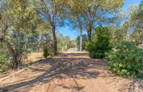 Tenuta Pizzola - Foto 31