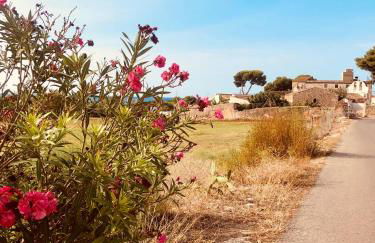 Casa Límon - Foto 51