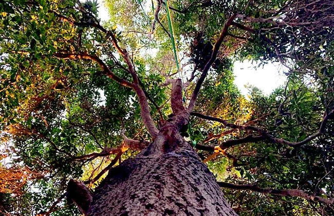 Rapel e escalada no oásis de Pica - Foto 2