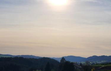 Alpinchalet Bergahorn - luxeriöse Wohnung mit Sauna und grosser Terrasse - Photo 33