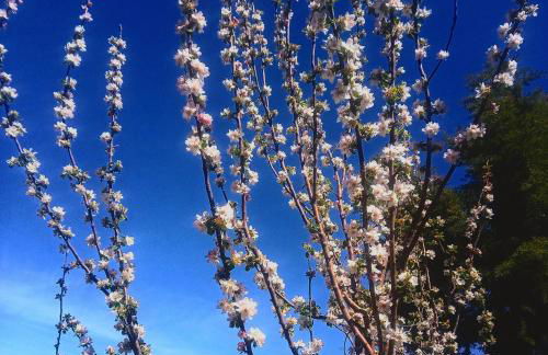 La Cascina di Muttley - Foto 33