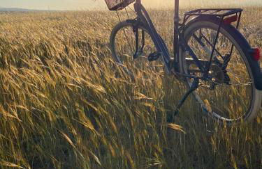 Casa no Montinho - Foto 32