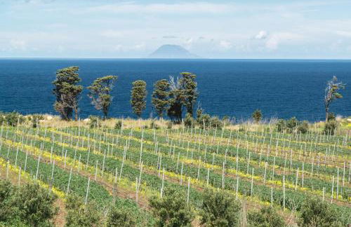 Tenuta Rasocolmo - Foto 1