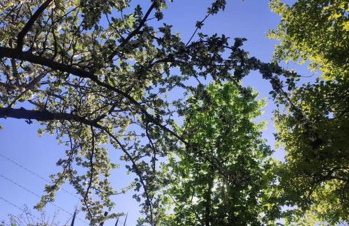 Tiny House en Piedrahita (Ávila) - Photo 15