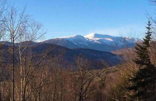 Tin Mountain Treetops Time - Foto 35