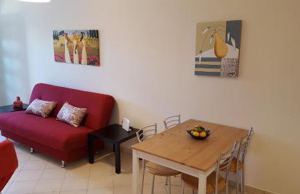 Patras Palm Tree - Foto 43