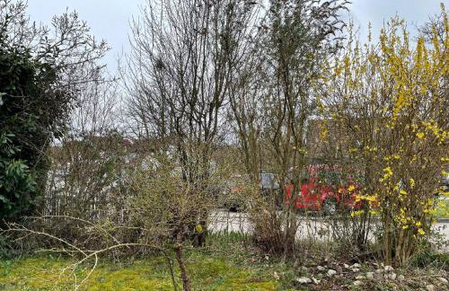 Appartement Elsa mit Garten - Foto 15