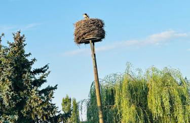 Apartments im Spreewald - Foto 13